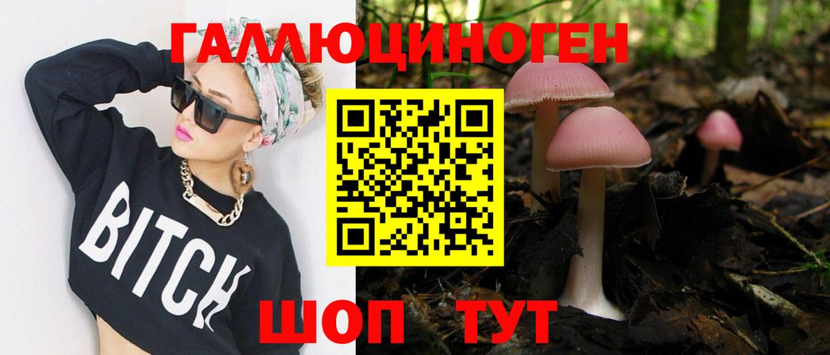 Псилоцибиновые грибы Psilocybine cubensis  Вход с VPN  Отрадный 