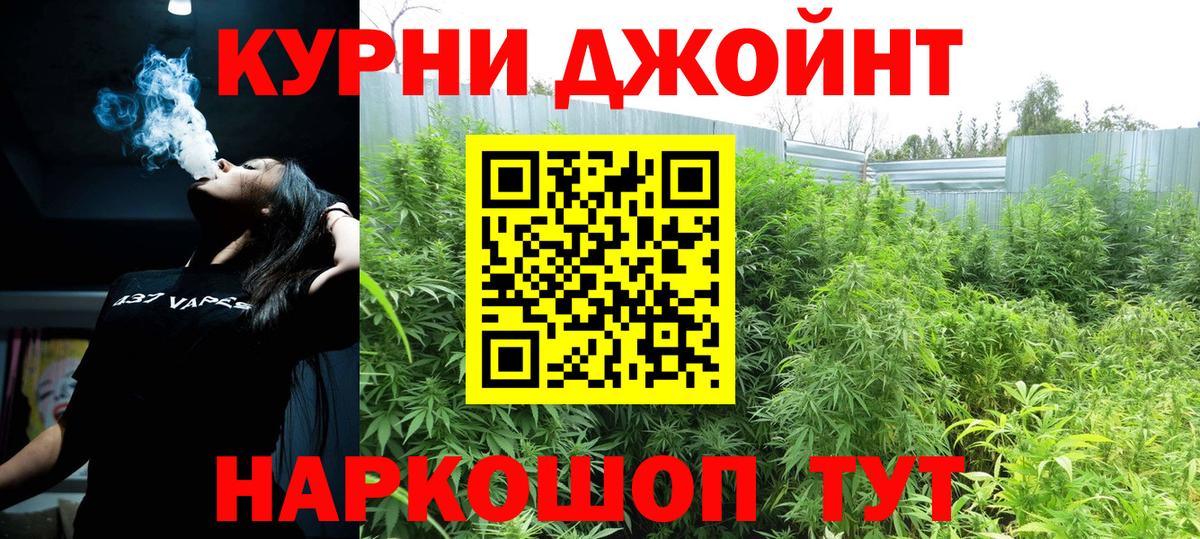 Шишки марихуана Bruce Banner Отрадный